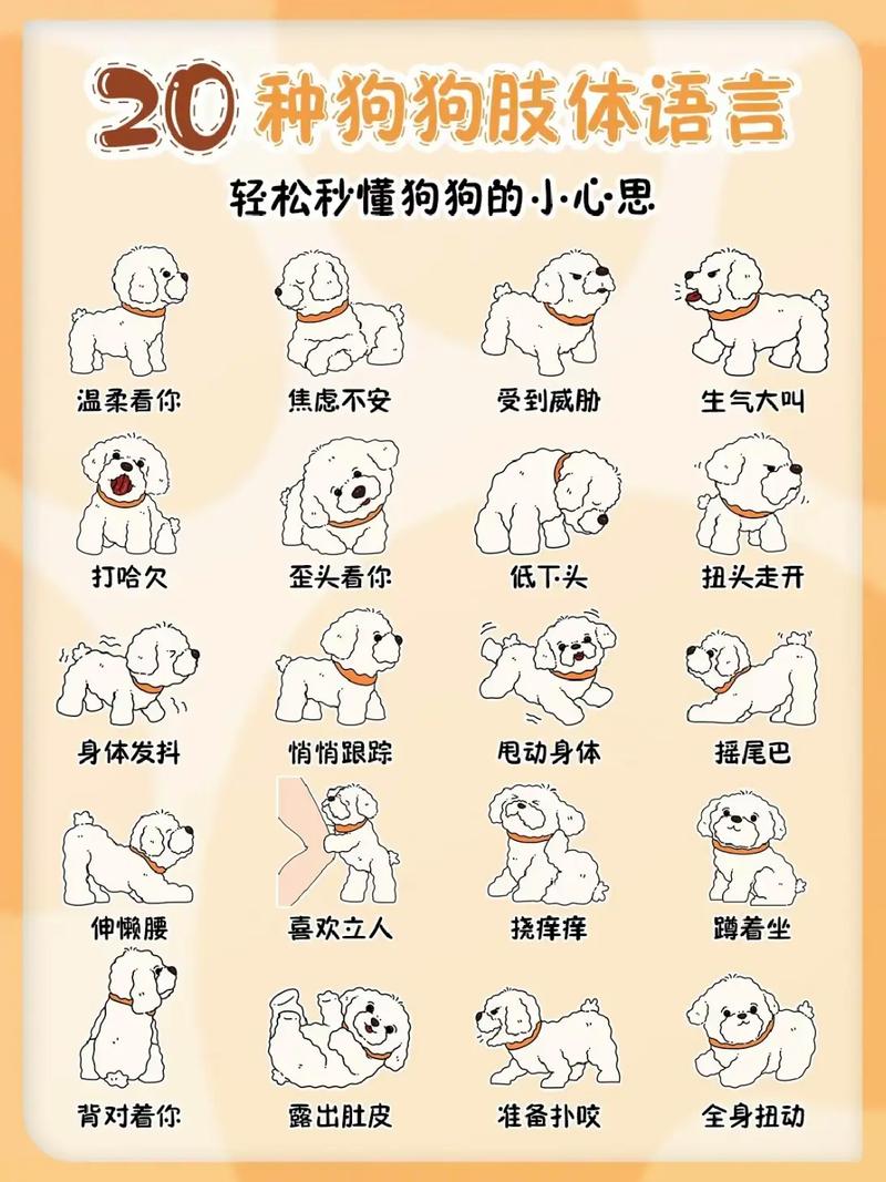 解读狗狗行为，狗语言翻译APP助你轻松养狗