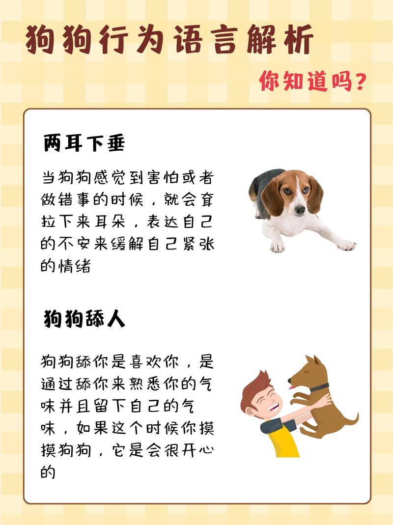 解读狗狗行为，狗语言翻译APP助你轻松养狗