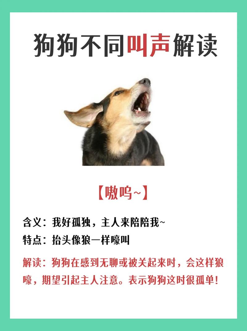 解读狗狗行为，狗语言翻译APP助你轻松养狗