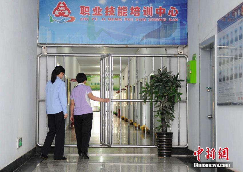 迷途的羔羊：走出迷茫，拥抱更美好的未来