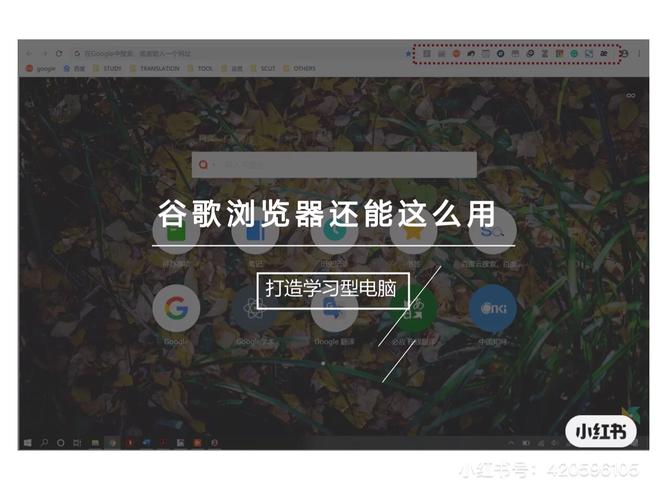 集合石插件功能详解：提升你的游戏效率