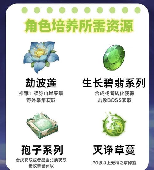 原神纳西妲圣遗物选择指南：饰金还是深林？