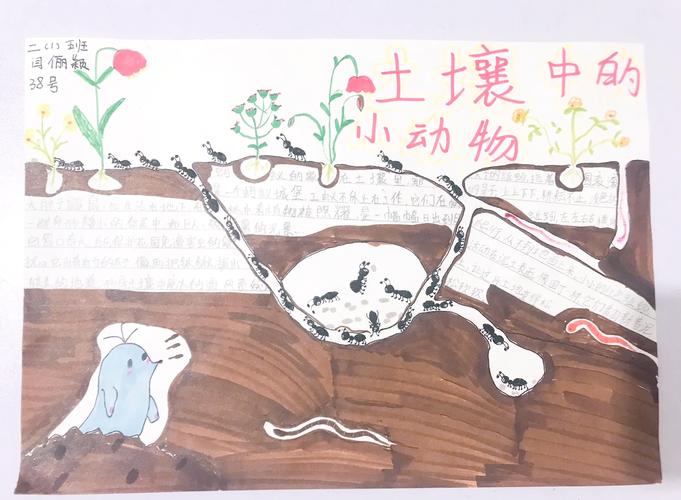 老虎蚂蚁庄园：带你走进神奇的自然王国